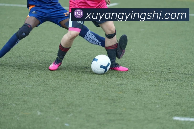 多媒体互动体验